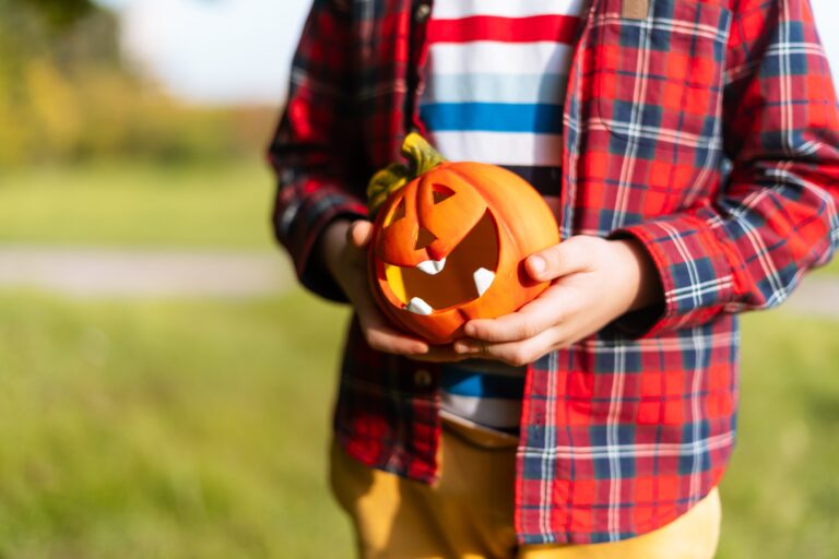 Don’t Let Your Halloween Pumpkin Go To Waste