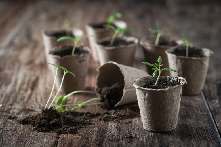 seed starting pots