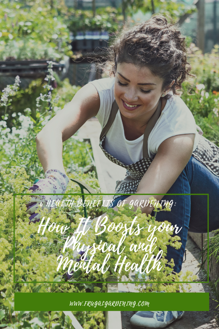 6 Health Benefits Of Gardening: How It Boosts Your Physical And Mental ...