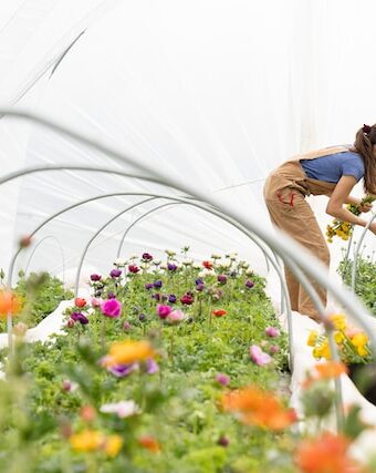 Top 5 Women's Gardening Overalls Ranked by Price