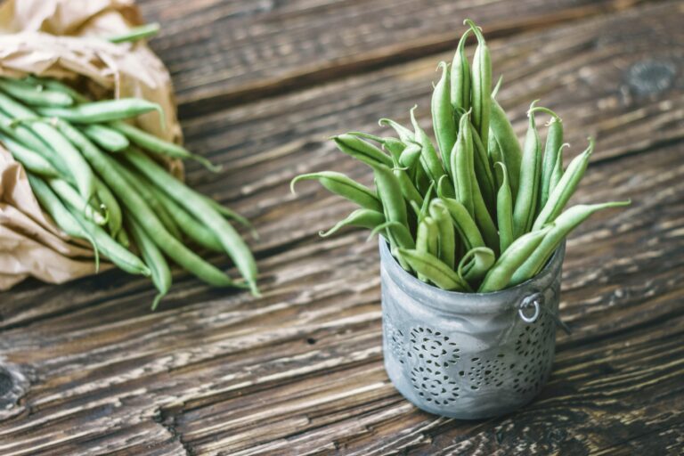 Green Beans - Frugal Gardening