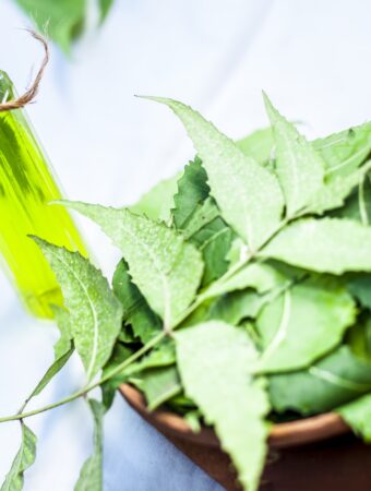 9 Benefits of Neem Oil for Plant Health