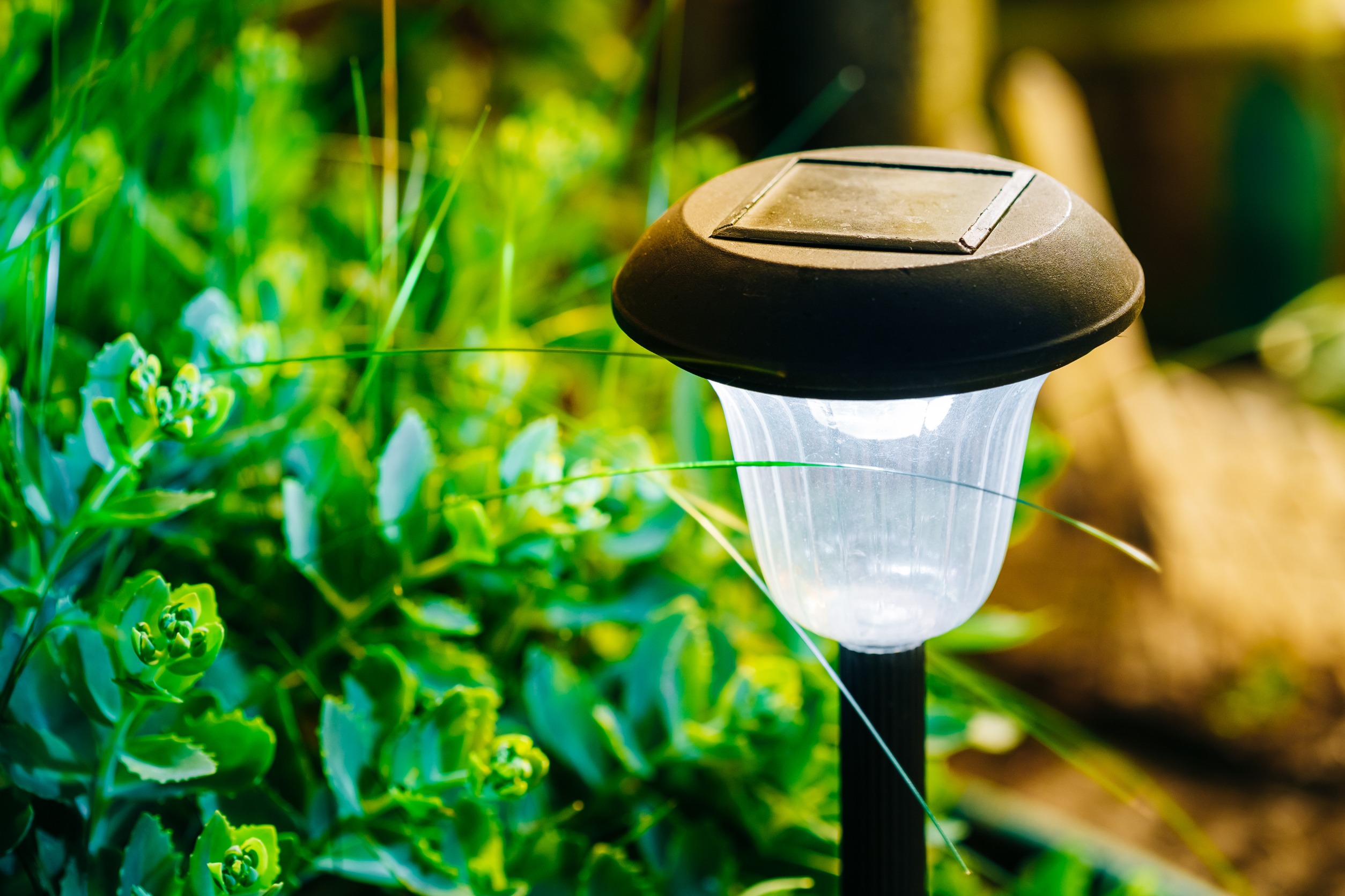 Solar-Powered Garden Lights