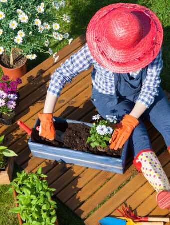 10 Budget-Friendly Ideas for Cheap Garden Decor