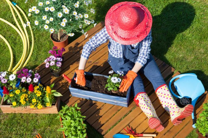 10 Budget-Friendly Ideas for Cheap Garden Decor