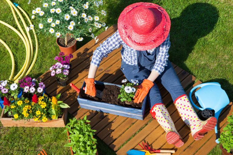 10 Budget-Friendly Ideas for Cheap Garden Decor