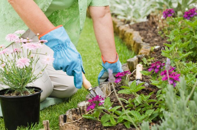 10 Genius Inexpensive Planting Solutions for Gardeners on a Budget