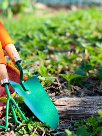 DIY Hacks How to Transform Everyday Items into Cheap Gardening Tools