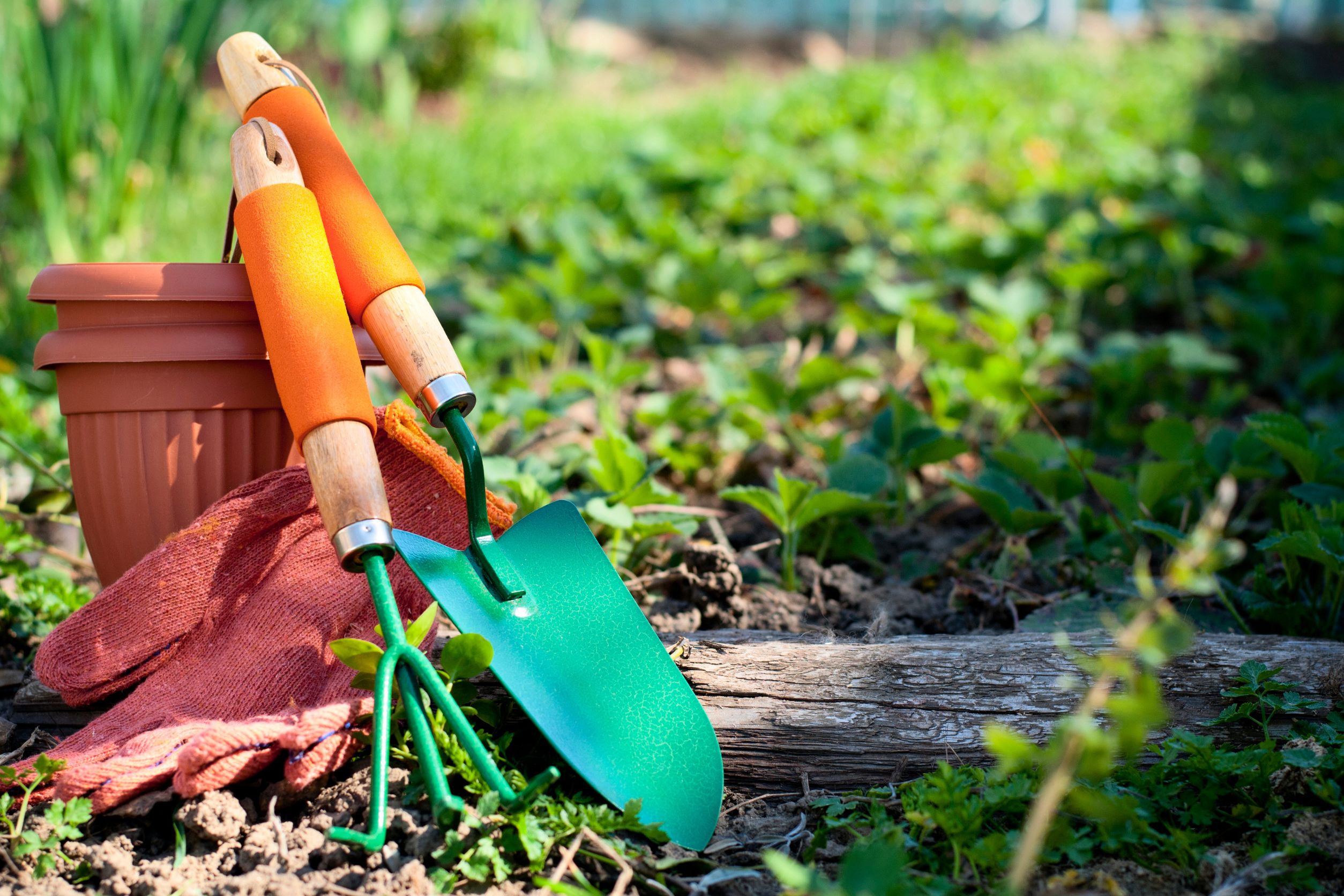 DIY Hacks How to Transform Everyday Items into Cheap Gardening Tools