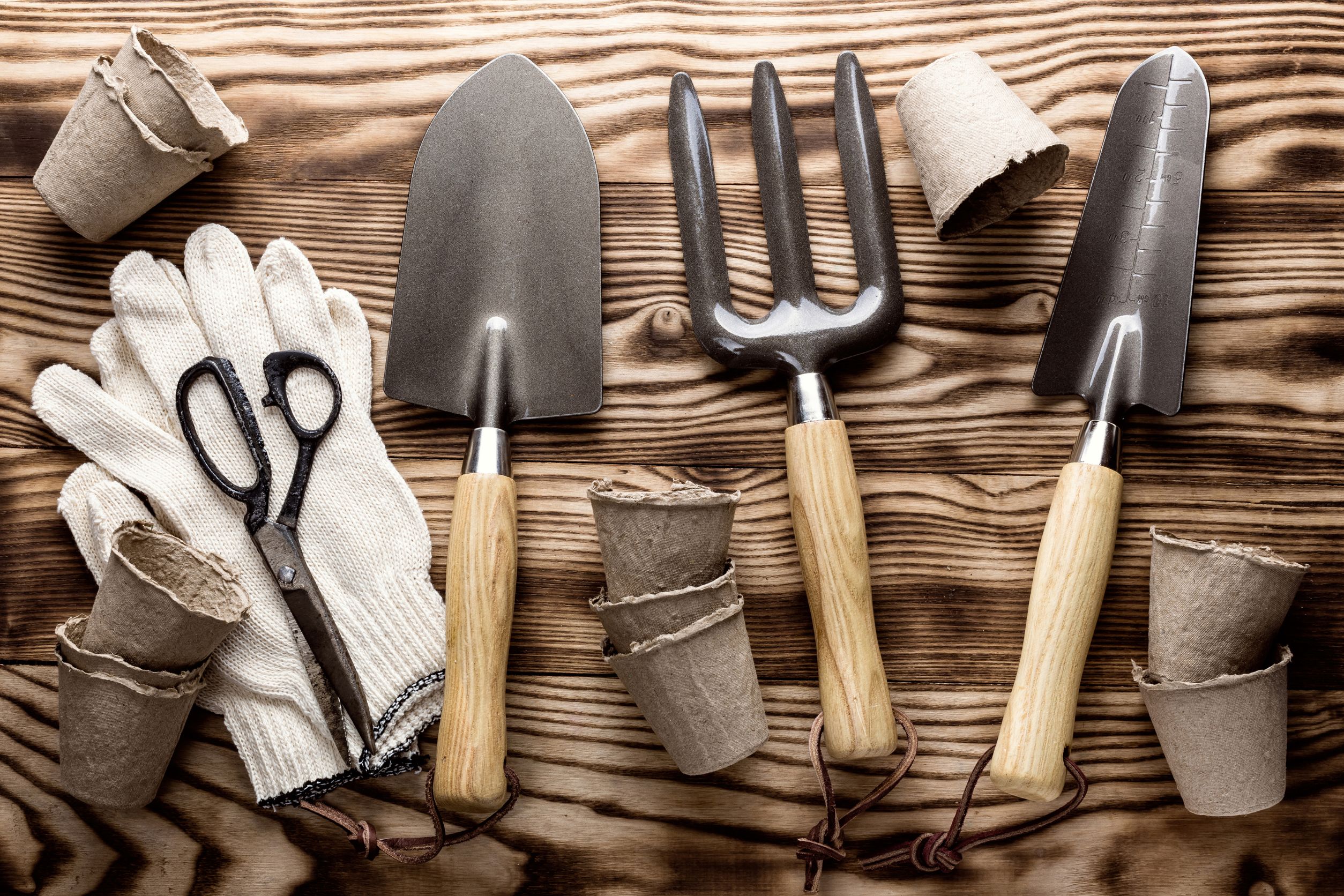 Top 10 Cheap Gardening Tools That Every Gardener Needs in Their Shed
