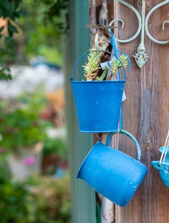 10 Best Budget Small Garden Ideas You Need To See