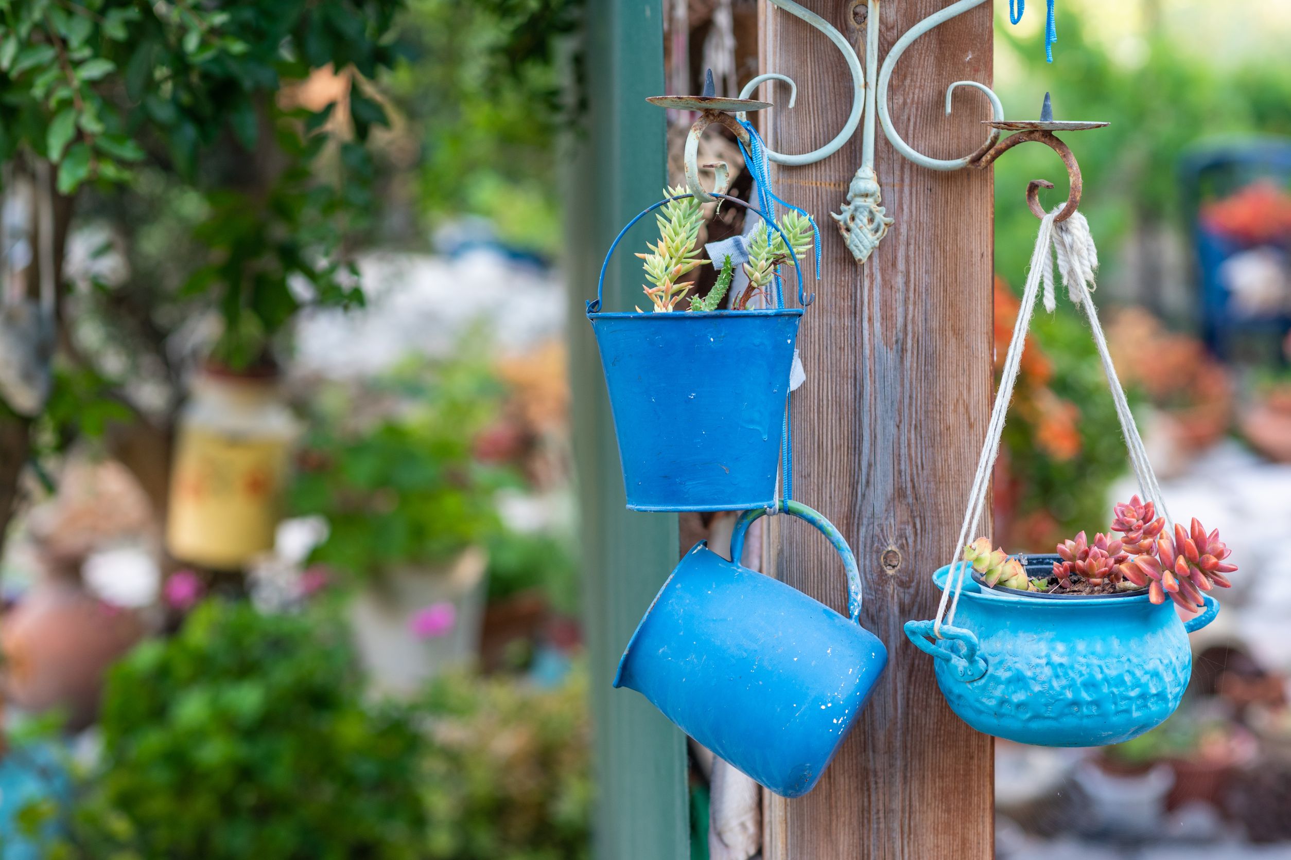 10 Best Budget Small Garden Ideas You Need To See