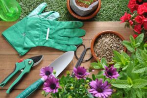 10 Cheap Gardening Tools That Will Transform Your Garden on a Budget