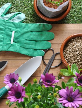 10 Cheap Gardening Tools That Will Transform Your Garden on a Budget