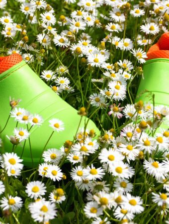 15 of the Best Gardening Shoes That Will Make Your Time in the Garden So Much Better!