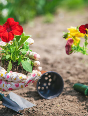 8 Of The Best Gardening Gifts For Your Green-Thumb Friends