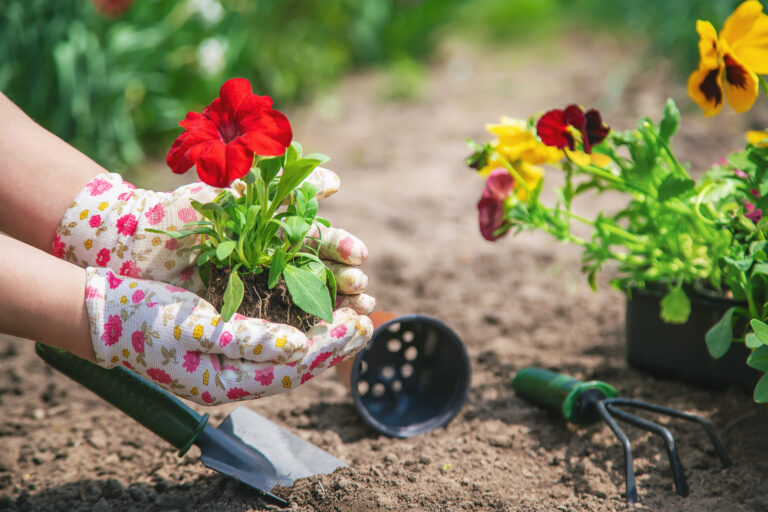 8 Of The Best Gardening Gifts For Your Green-Thumb Friends