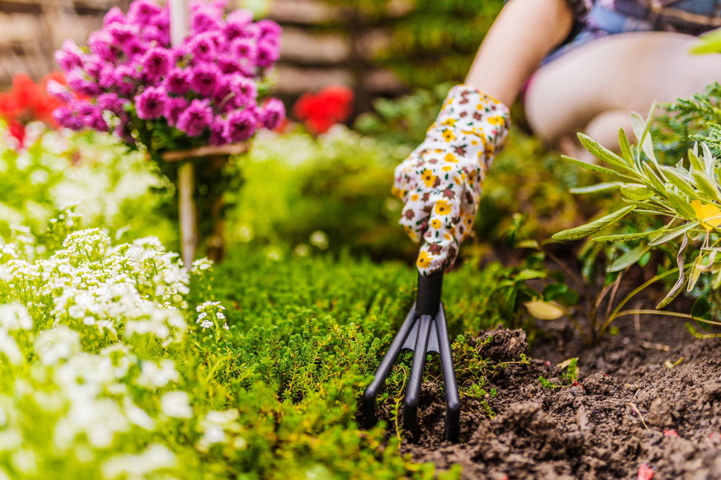 The Best Places To Buy Cheap Gardening Supplies