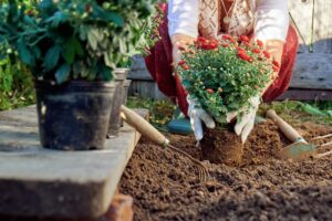 12 Reasons Retirees Are Started to Love Gardening