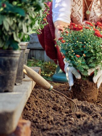 12 Reasons Retirees Are Started to Love Gardening