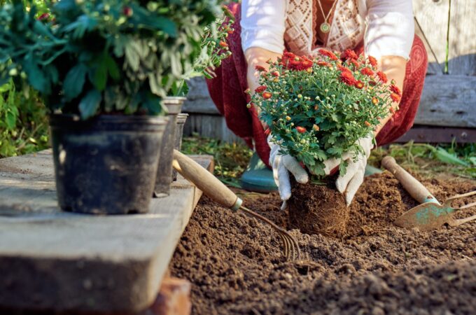 12 Reasons Retirees Are Started to Love Gardening