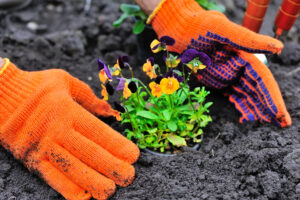 best gardening gloves for women