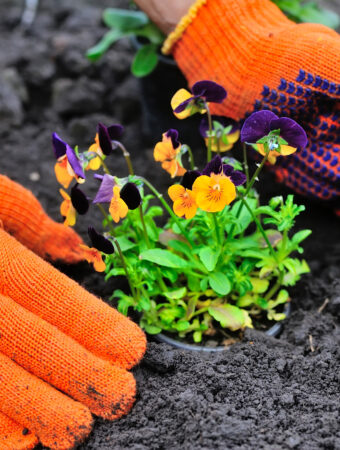 best gardening gloves for women