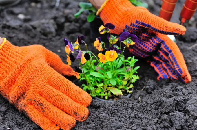 best gardening gloves for women