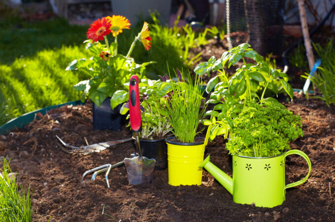 Gardening gifts