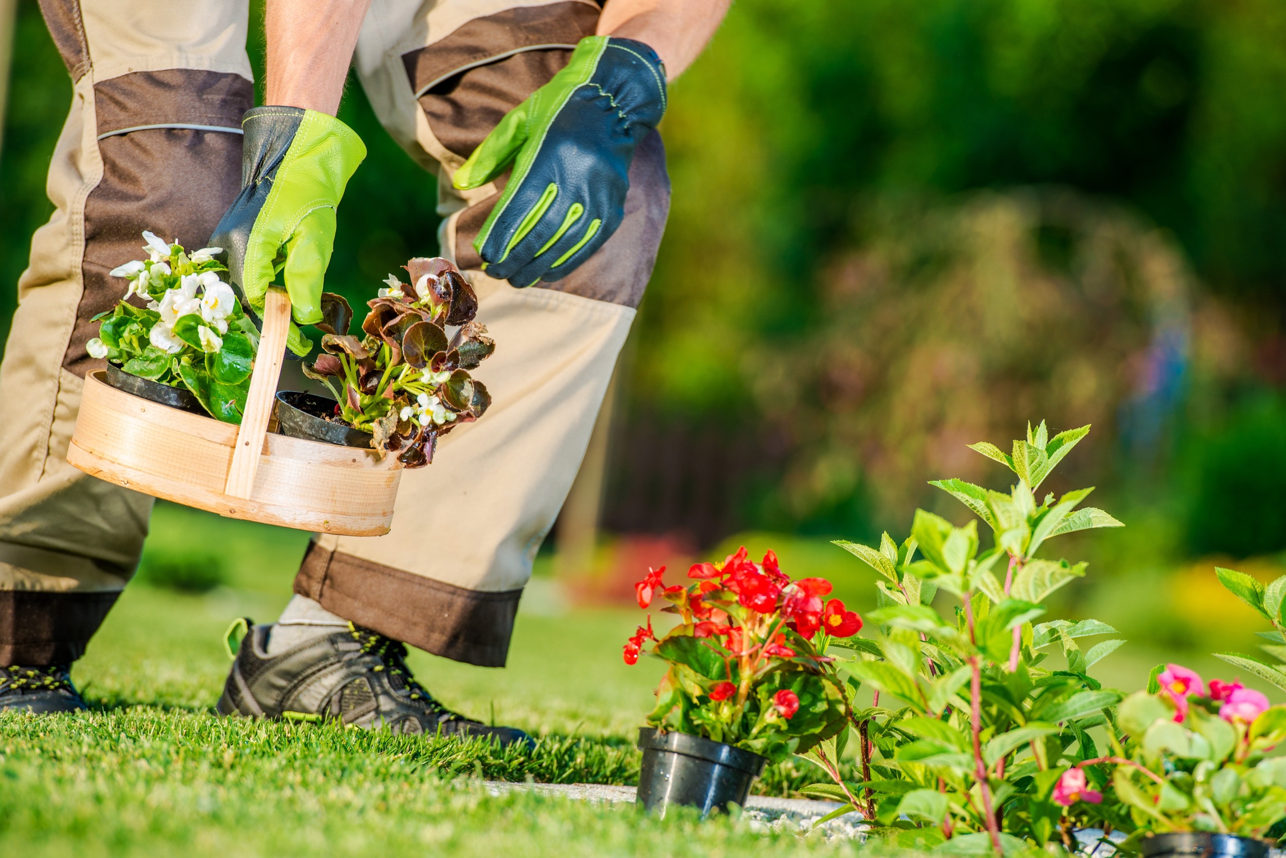 Apply For Jobs At Landscaping Companies