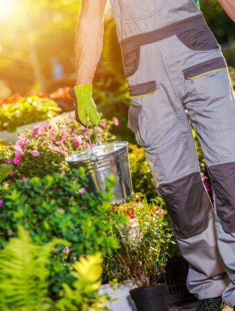 Love Gardening Here's How to Get Landscaping Jobs You Love