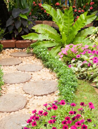 Affordable Landscaping Hacks 5 Cheap Materials You Need to Know About!