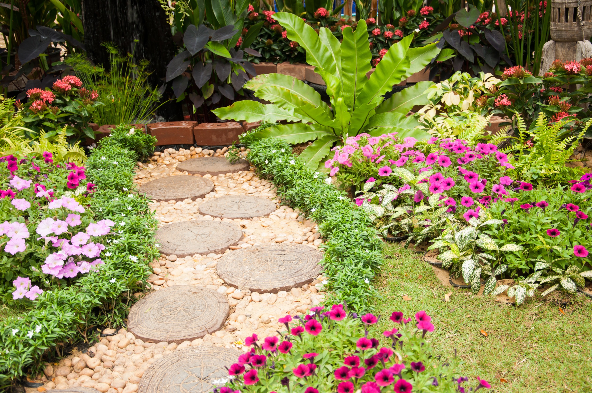 Affordable Landscaping Hacks 5 Cheap Materials You Need to Know About!