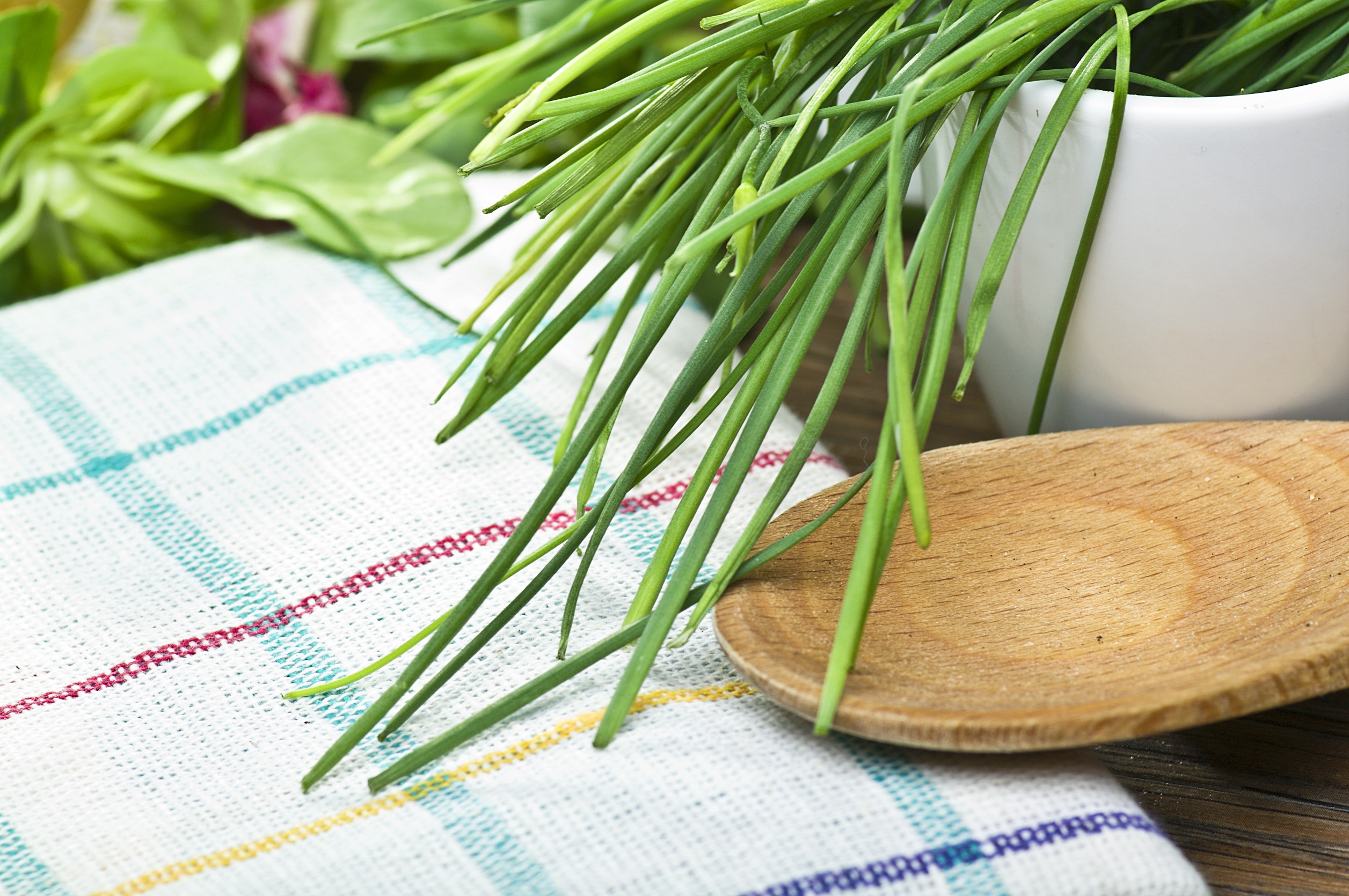 Chives Balcony Gardening