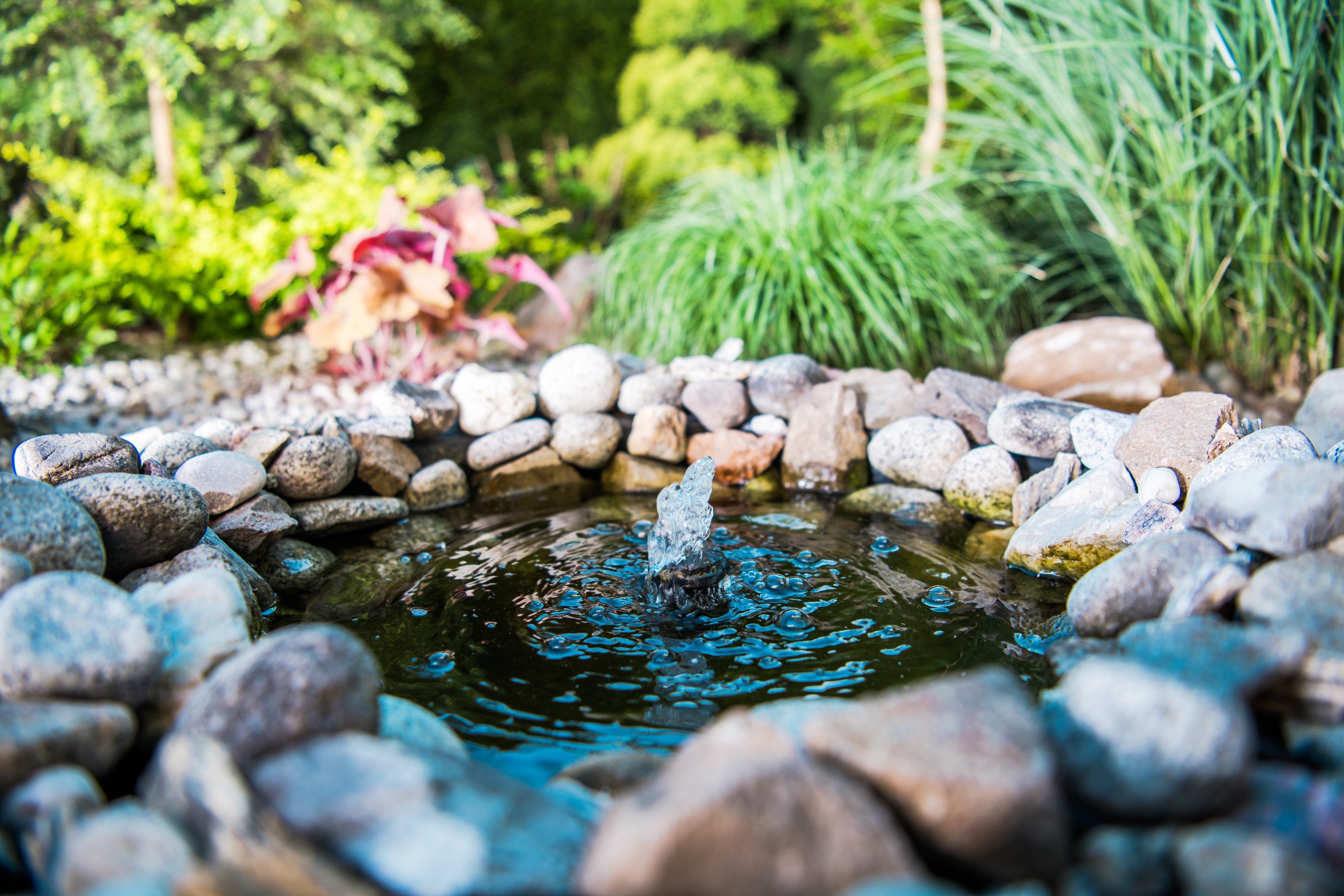 Create a Tranquil Meditation Garden for fun things to do alone