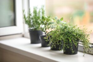 From Basil to Thyme How to Create the Perfect Indoor Herb Garden