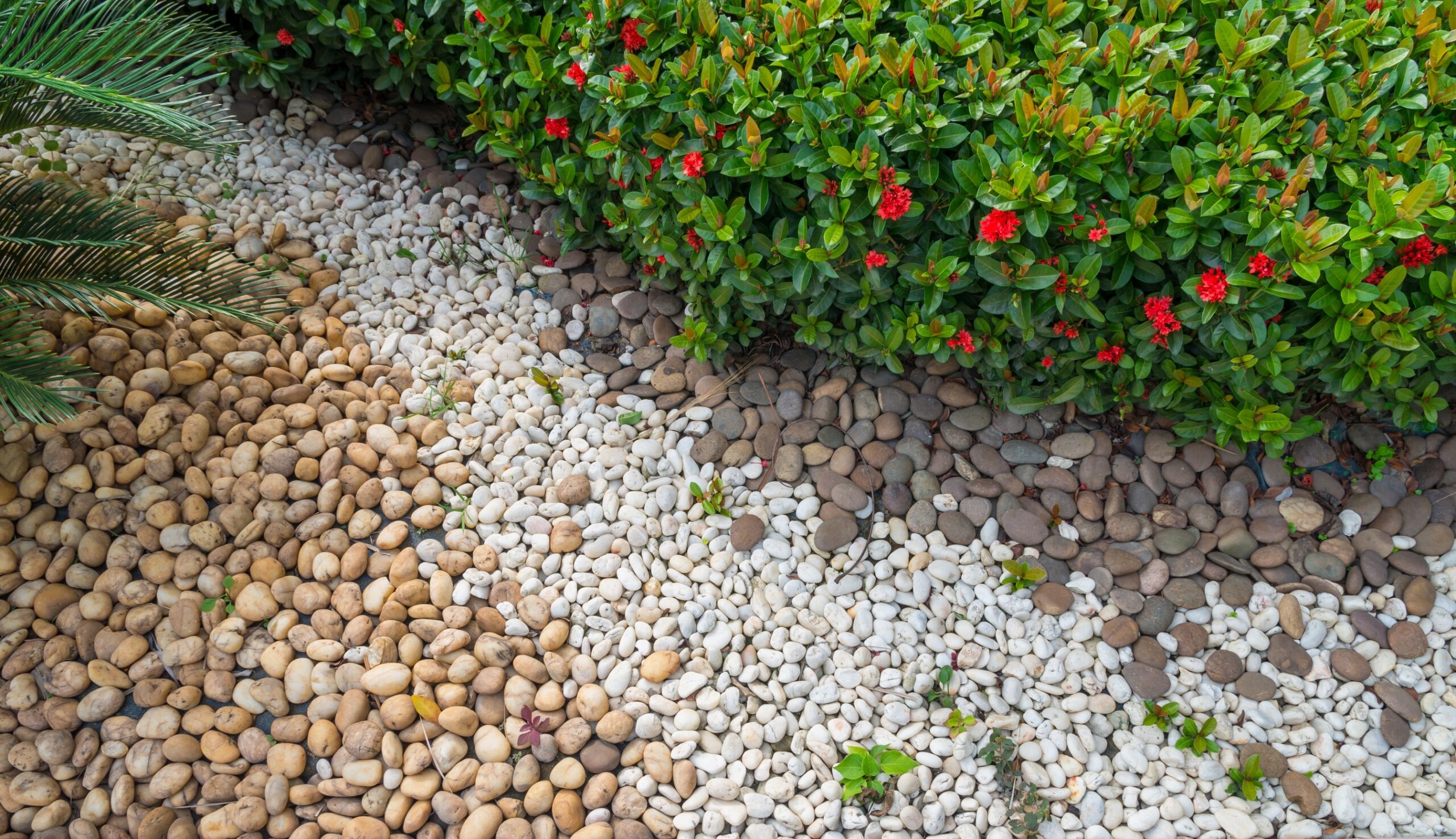 Gravel for Low-Maintenance Ground Cover