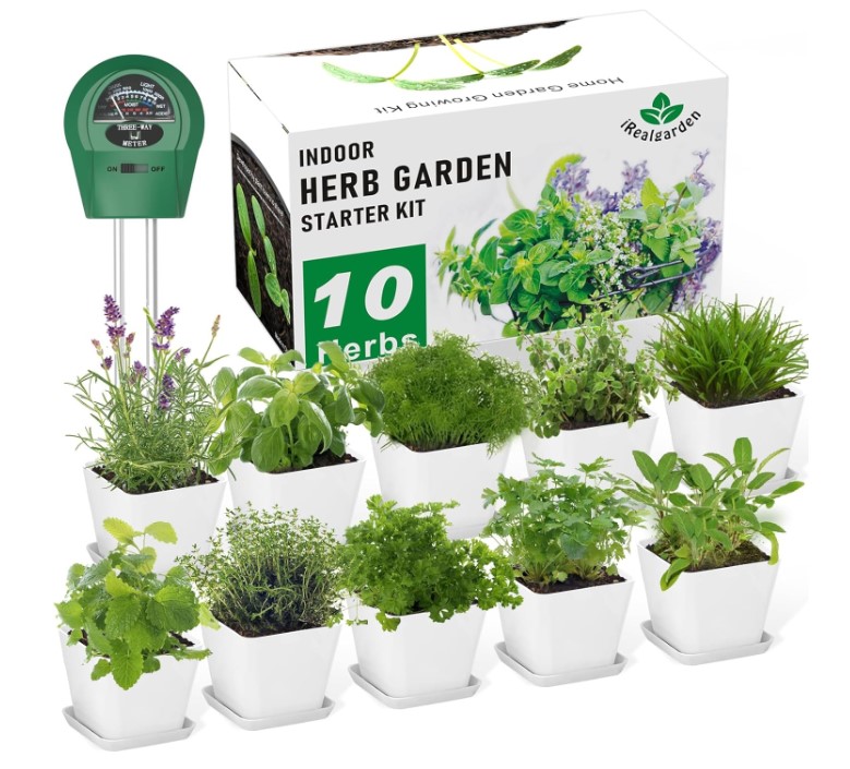 Herb Garden Kit