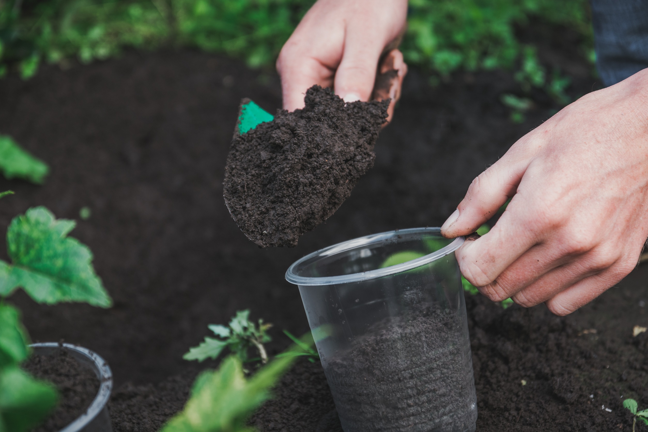 Make Your Own Compost