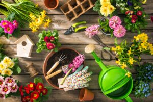 Organic Gardening Supplies The Secret to Lush, Chemical-Free Plants!