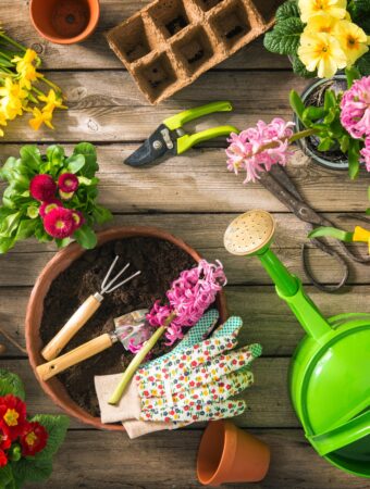 Organic Gardening Supplies The Secret to Lush, Chemical-Free Plants!