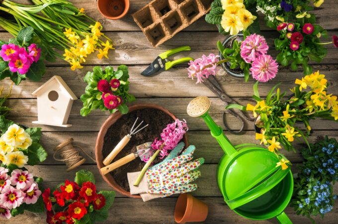 Organic Gardening Supplies The Secret to Lush, Chemical-Free Plants!