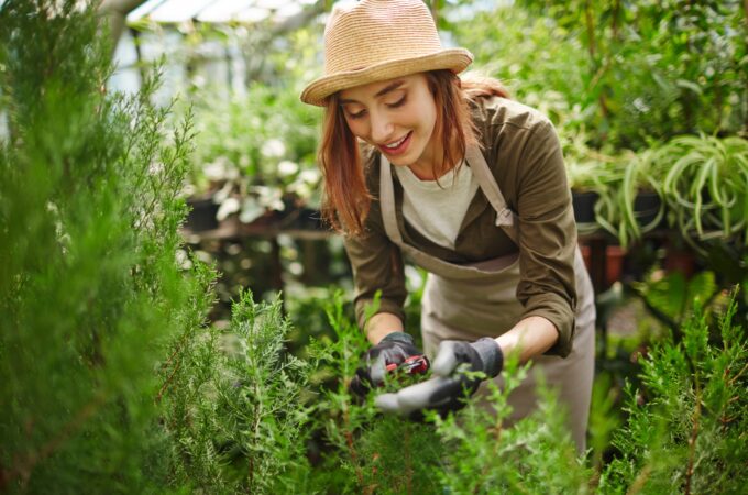 Peaceful Planting Creative Gardening Projects for Solo Gardeners