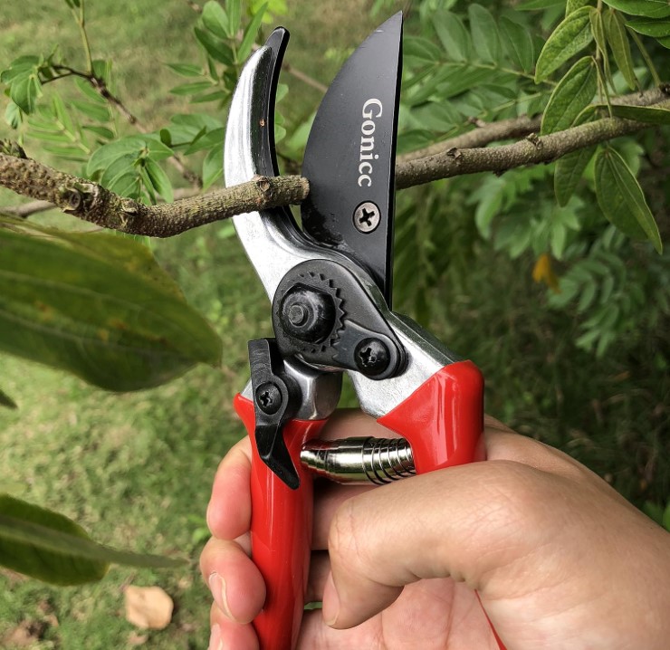 Pruning Scissors