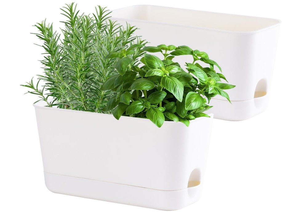 Self Watering Planters