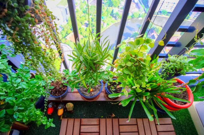 Transform Your Balcony into a Green Oasis with These Gardening Secrets!