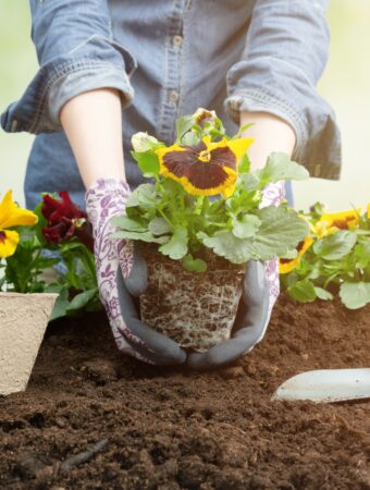 Garden Smart, Spend Less 6 Easy and Affordable Gardening Tips