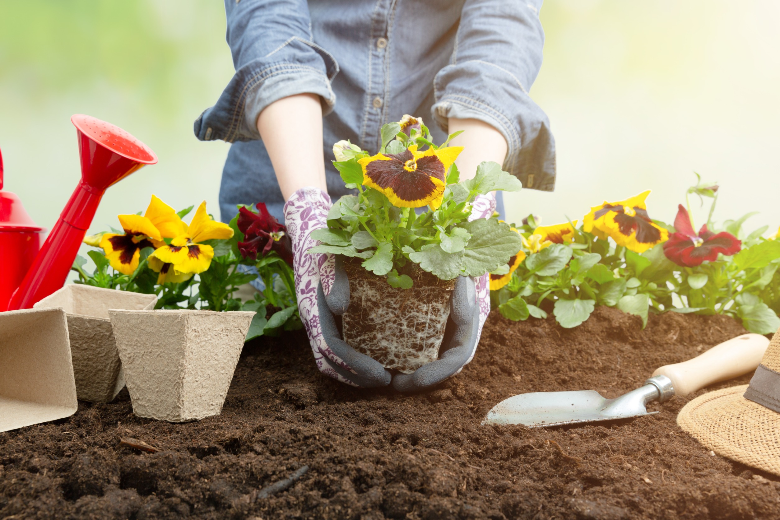 Garden Smart, Spend Less 6 Easy and Affordable Gardening Tips