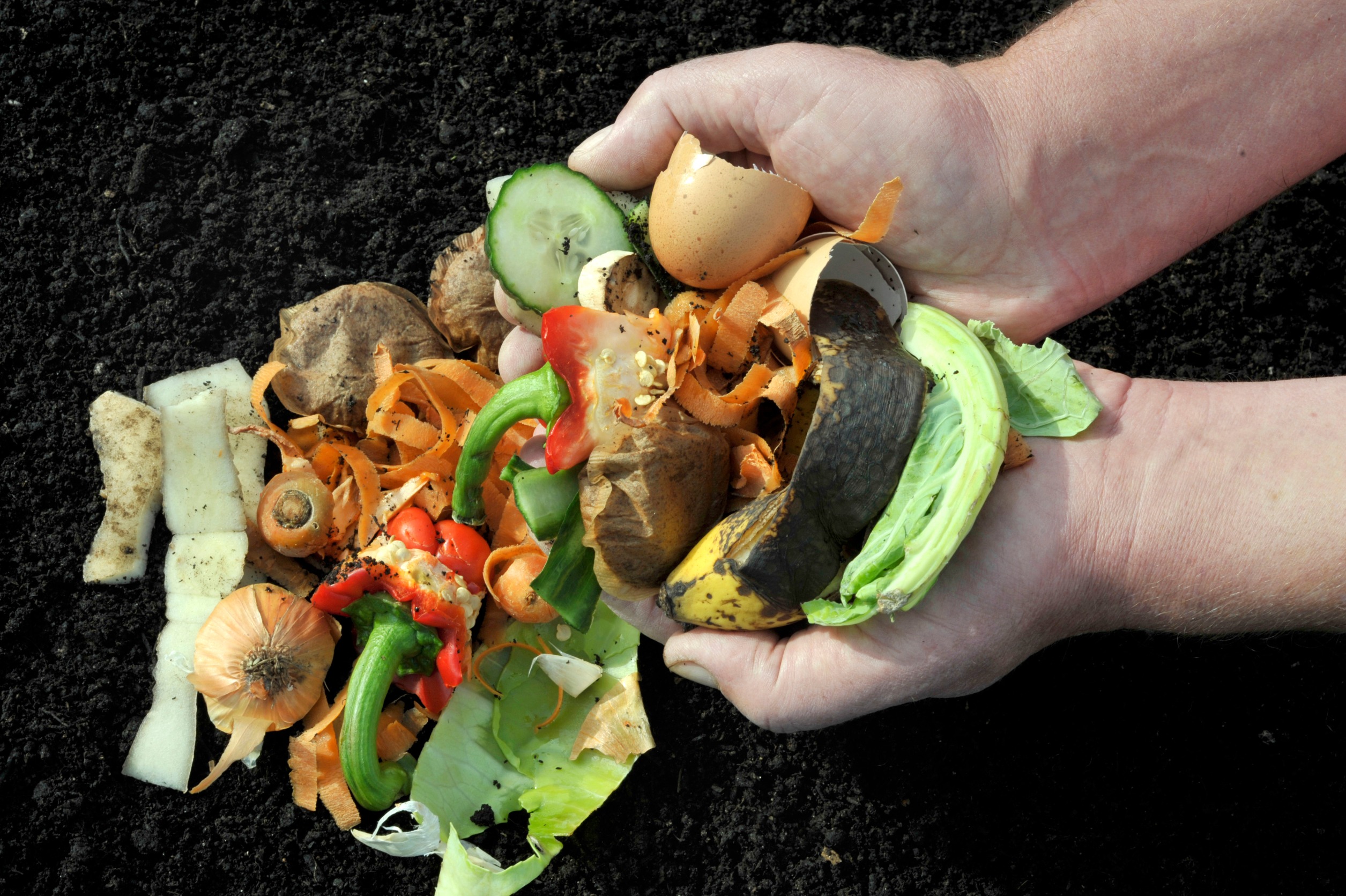 Make Your Own Compost