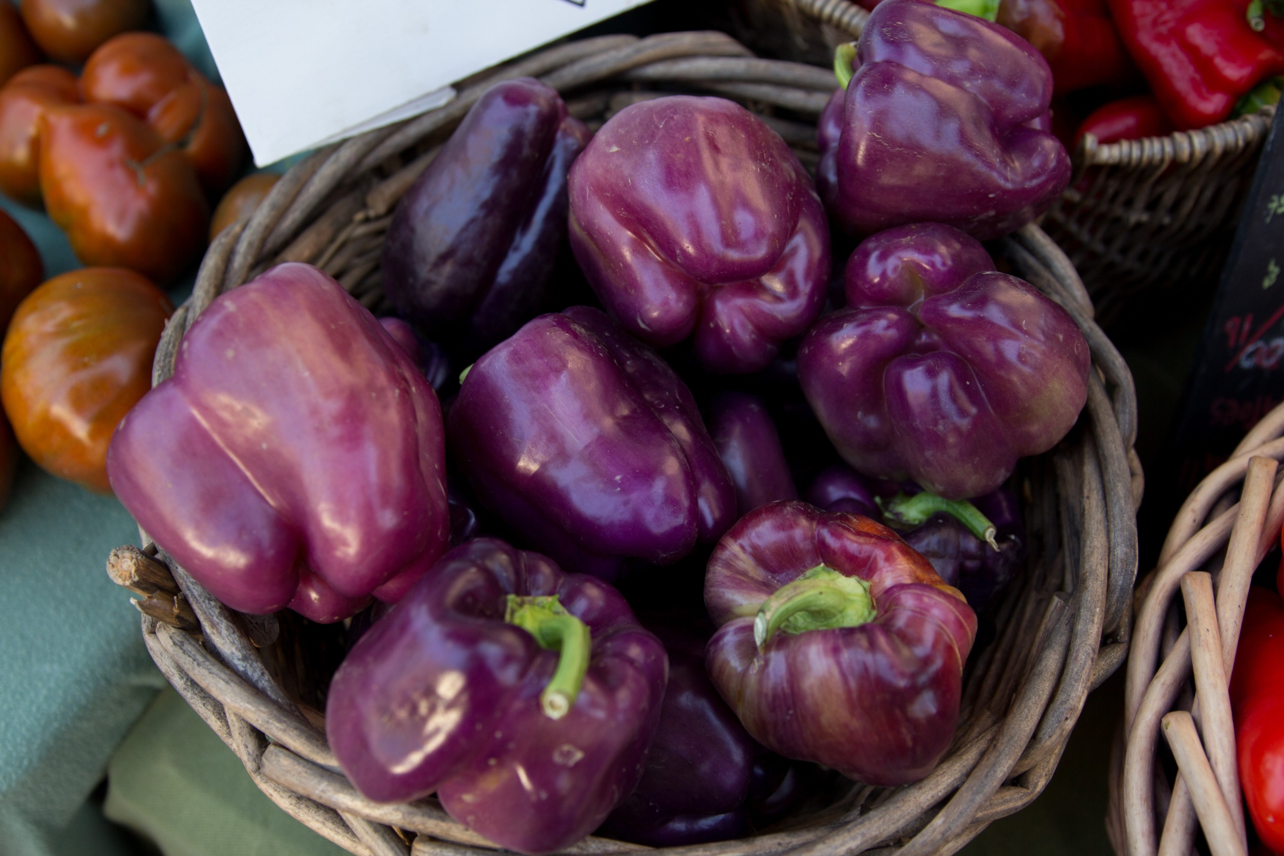 Purple Peppers